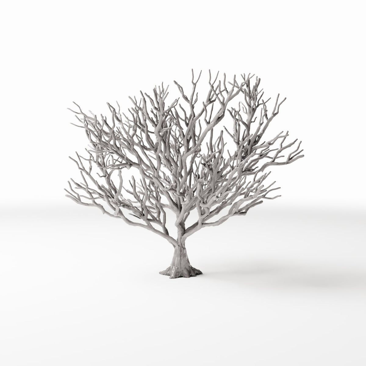 Productfoto diorama en modelbouw 2: Dioramaplanten: bladloze struik met wortels (Ref. 1091D)