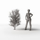 Productfoto diorama en modelbouw 1: Dioramaplanten: hoge kale boom met wortels (Ref. 1092D)