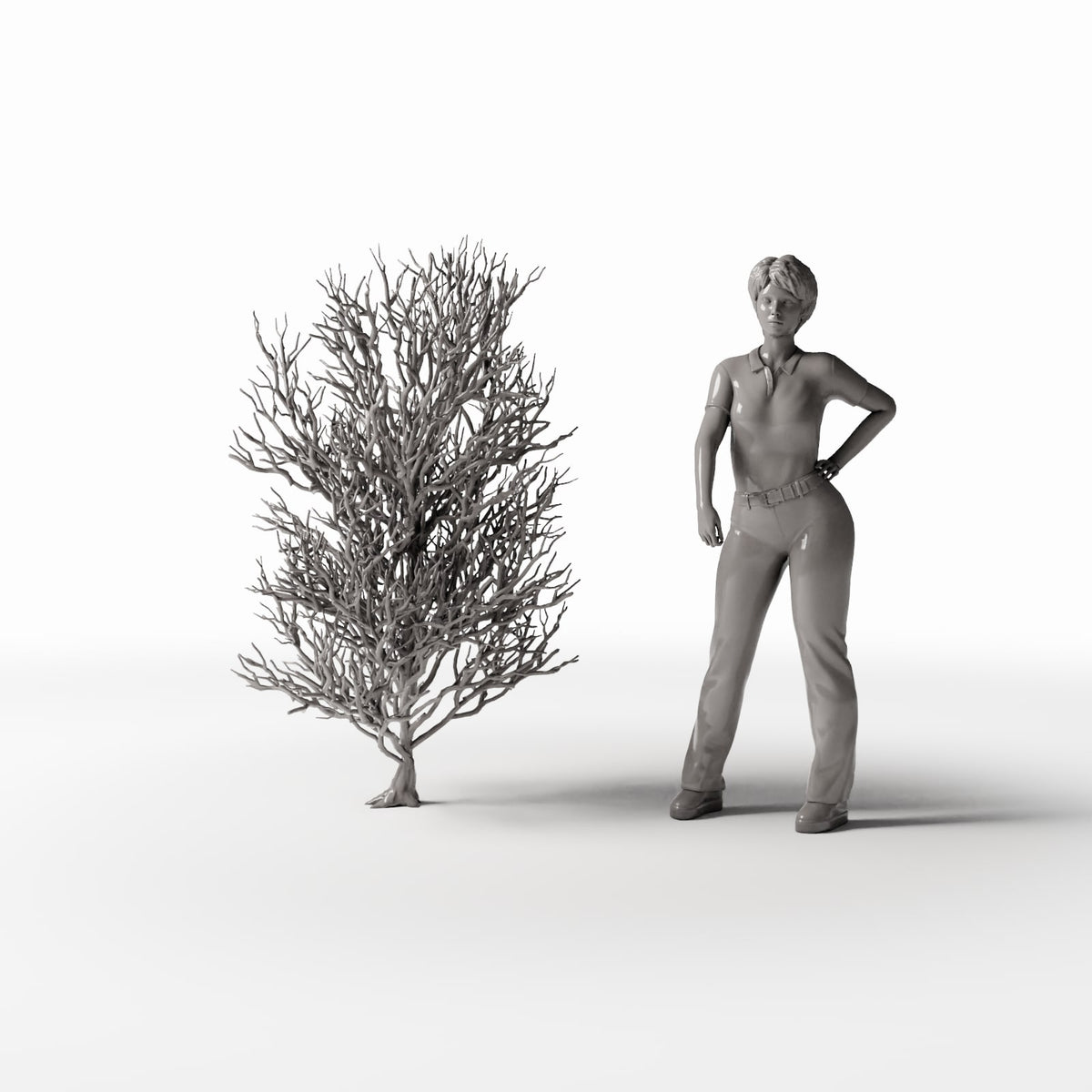 Productfoto diorama en modelbouw 1: Dioramaplanten: hoge kale boom met wortels (Ref. 1092D)