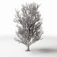 Productfoto diorama en modelbouw 0: Dioramaplanten: hoge kale boom met wortels (Ref. 1092D)
