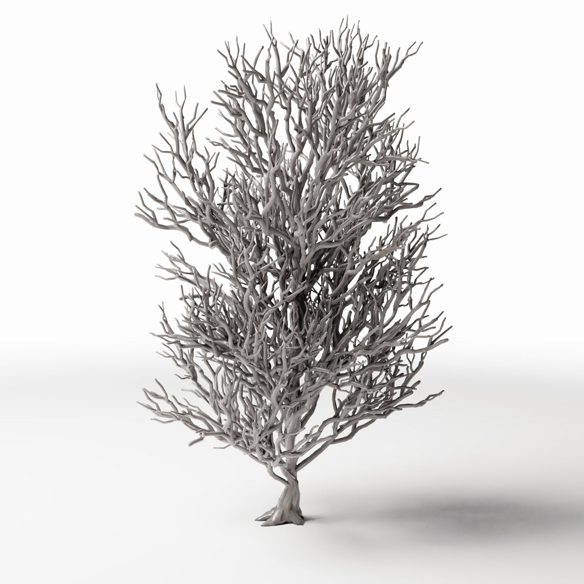 Productfoto diorama en modelbouw 0: Dioramaplanten: hoge kale boom met wortels (Ref. 1092D)