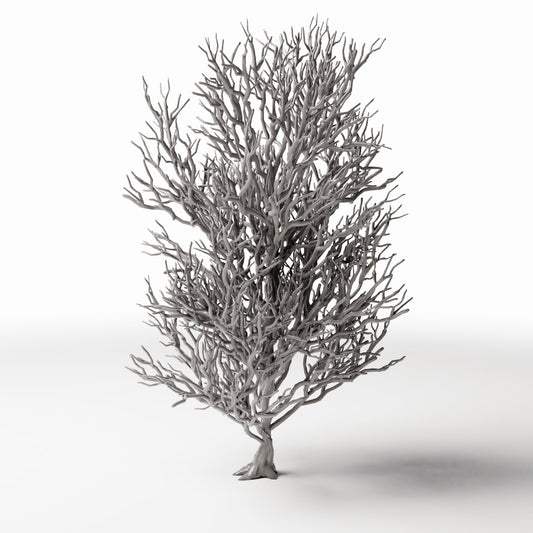 Productfoto diorama en modelbouw 0: Dioramaplanten: hoge kale boom met wortels (Ref. 1092D)