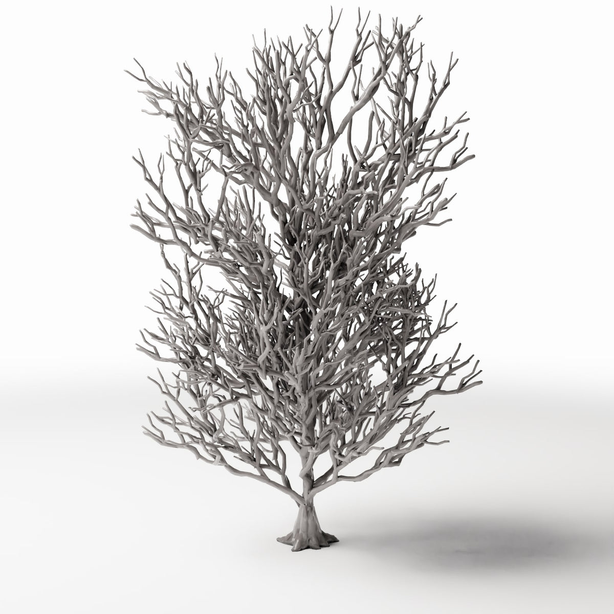 Productfoto diorama en modelbouw 2: Dioramaplanten: hoge kale boom met wortels (Ref. 1092D)
