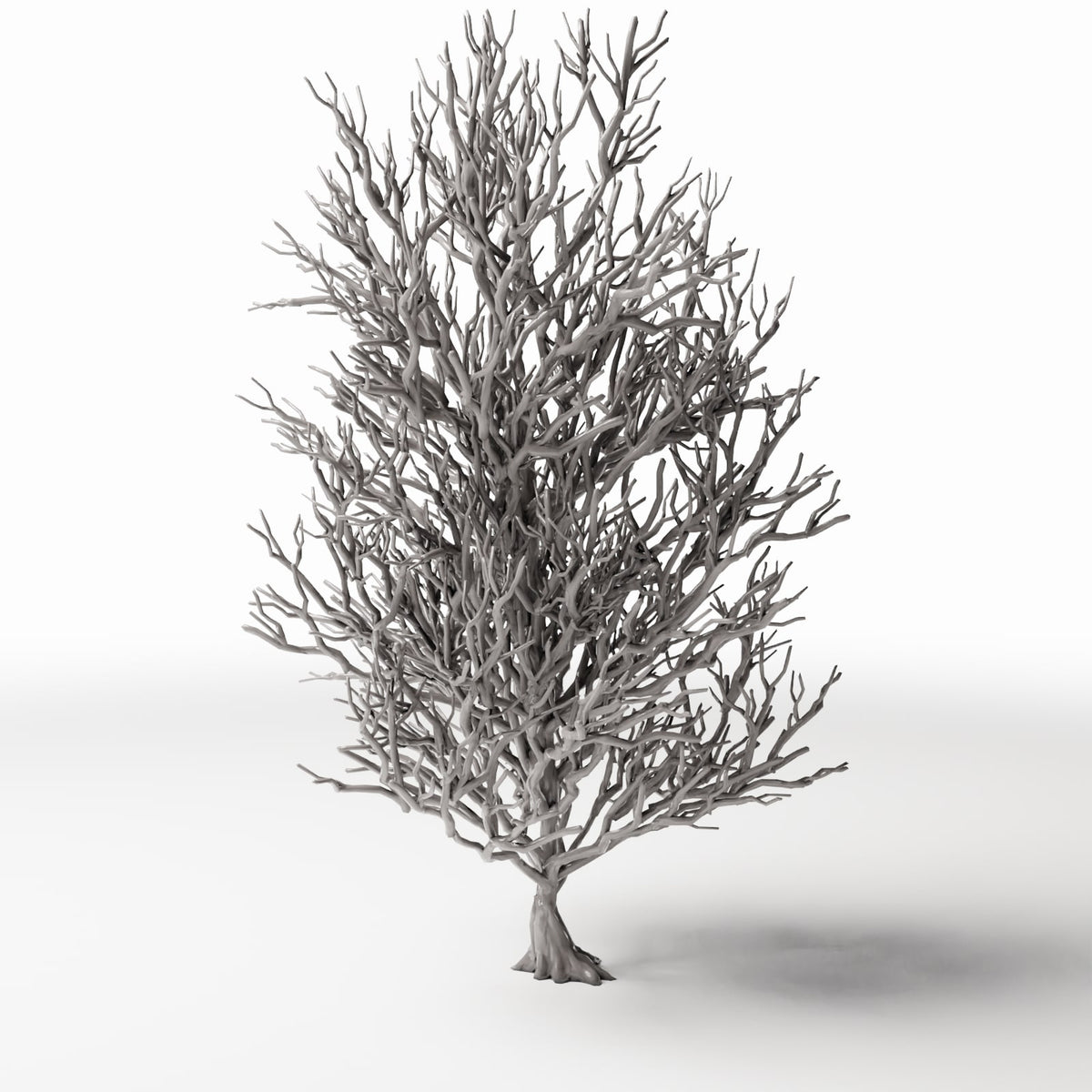 Productfoto diorama en modelbouw 3: Dioramaplanten: hoge kale boom met wortels (Ref. 1092D)