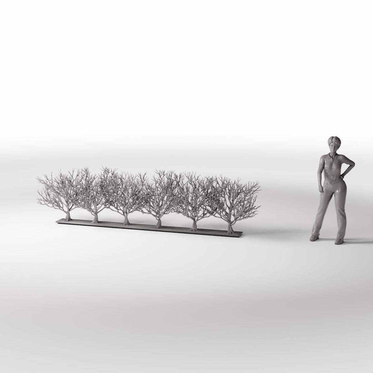 Productfoto diorama en modelbouw 1: Dioramaplanten: rij bladloze bomen (Ref. 1093D)