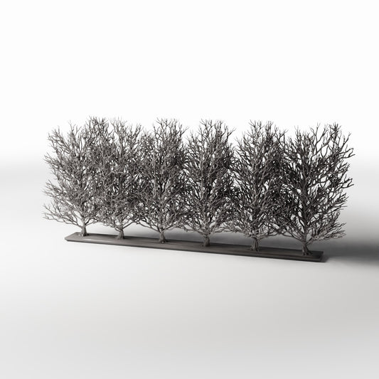 Productfoto diorama en modelbouw 0: Dioramaplanten: rij bladloze sierstruiken (Ref. 1094D)