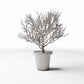 Productfoto diorama en modelbouw 0: Dioramaplanten: potplant met vertakte sierstruik (Ref. 1096D)