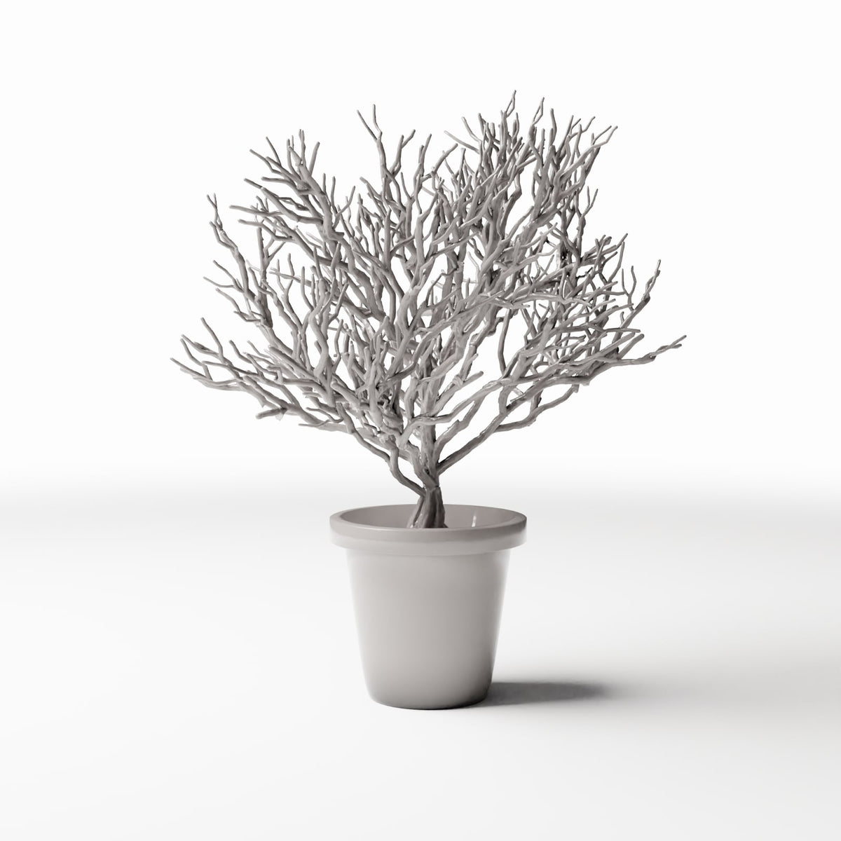 Productfoto diorama en modelbouw 0: Dioramaplanten: potplant met vertakte sierstruik (Ref. 1096D)