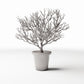 Productfoto diorama en modelbouw 2: Dioramaplanten: potplant met vertakte sierstruik (Ref. 1096D)