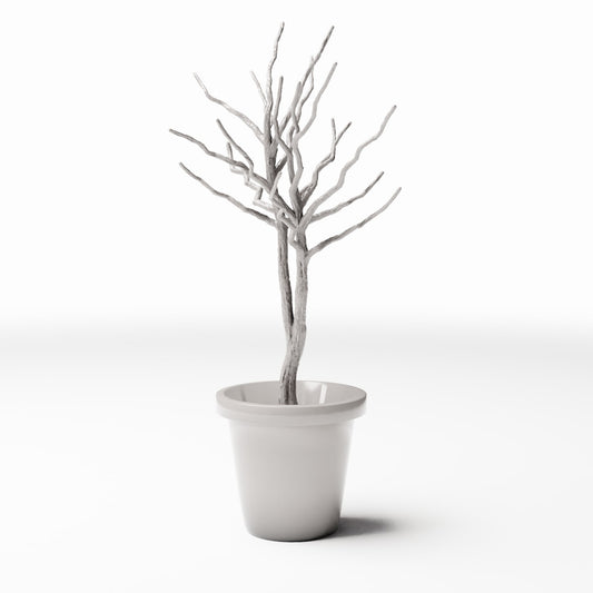 Productfoto diorama en modelbouw 0: Dioramaplanten: bladloos boompje in plantenbak (Ref. 1098D)