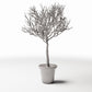 Productfoto diorama en modelbouw 0: Dioramaplanten: bladloze sierboom in bloempot (Ref. 1100D)