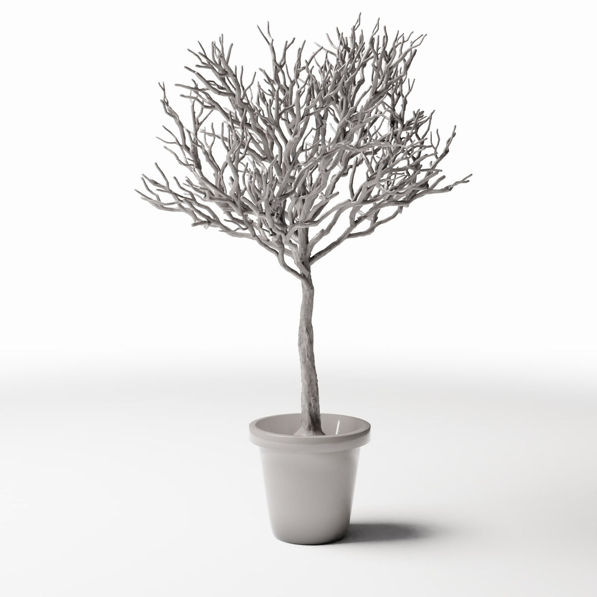 Productfoto diorama en modelbouw 0: Dioramaplanten: bladloze sierboom in bloempot (Ref. 1100D)