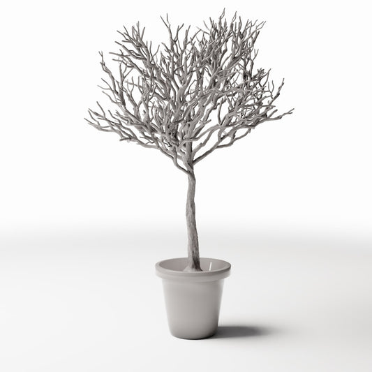 Productfoto diorama en modelbouw 0: Dioramaplanten: bladloze sierboom in bloempot (Ref. 1100D)