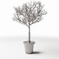 Productfoto diorama en modelbouw 2: Dioramaplanten: bladloze sierboom in bloempot (Ref. 1100D)