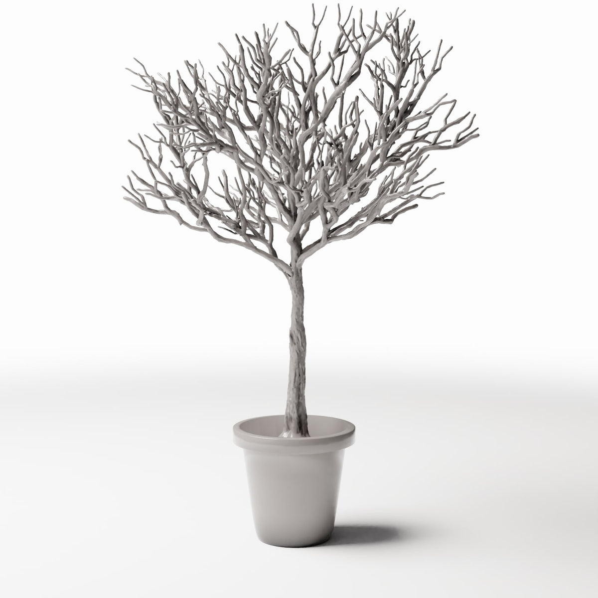 Productfoto diorama en modelbouw 2: Dioramaplanten: bladloze sierboom in bloempot (Ref. 1100D)
