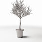 Productfoto diorama en modelbouw 3: Dioramaplanten: bladloze sierboom in bloempot (Ref. 1100D)