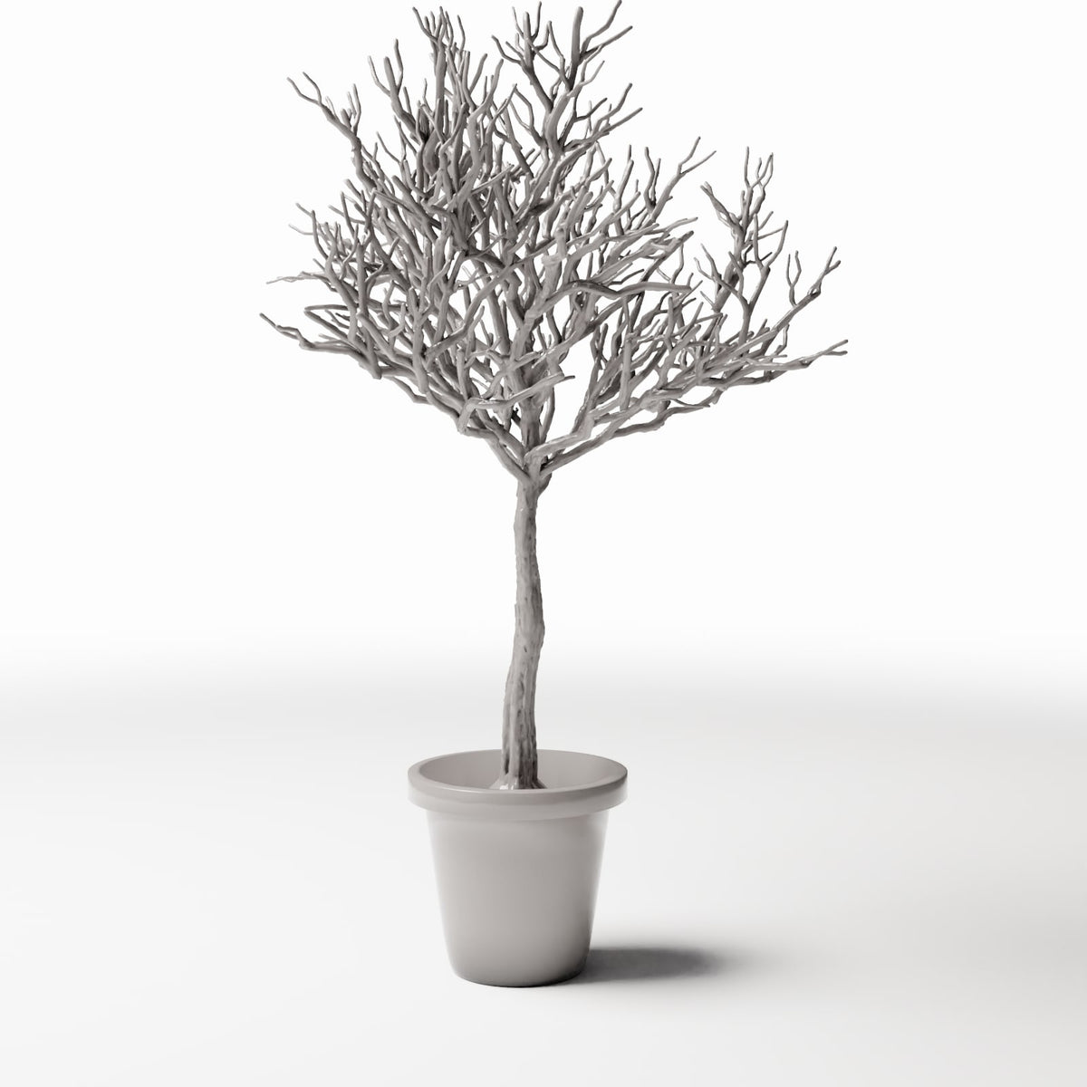 Productfoto diorama en modelbouw 3: Dioramaplanten: bladloze sierboom in bloempot (Ref. 1100D)