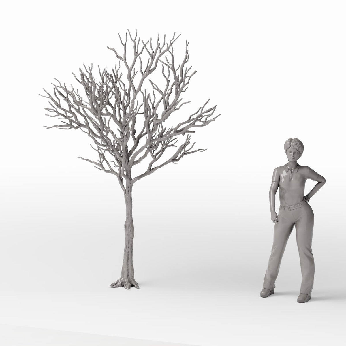 Productfoto diorama en modelbouw 1: Dioramaplanten: gedetailleerde kale loofboom (Ref. 1104D)