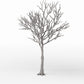 Productfoto diorama en modelbouw 0: Dioramaplanten: gedetailleerde kale loofboom (Ref. 1104D)