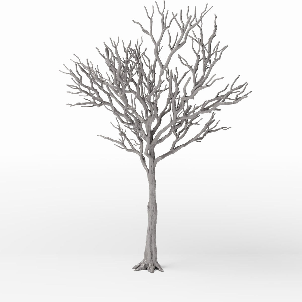 Productfoto diorama en modelbouw 0: Dioramaplanten: gedetailleerde kale loofboom (Ref. 1104D)