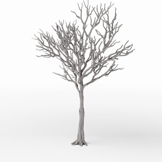 Productfoto diorama en modelbouw 0: Dioramaplanten: gedetailleerde kale loofboom (Ref. 1104D)