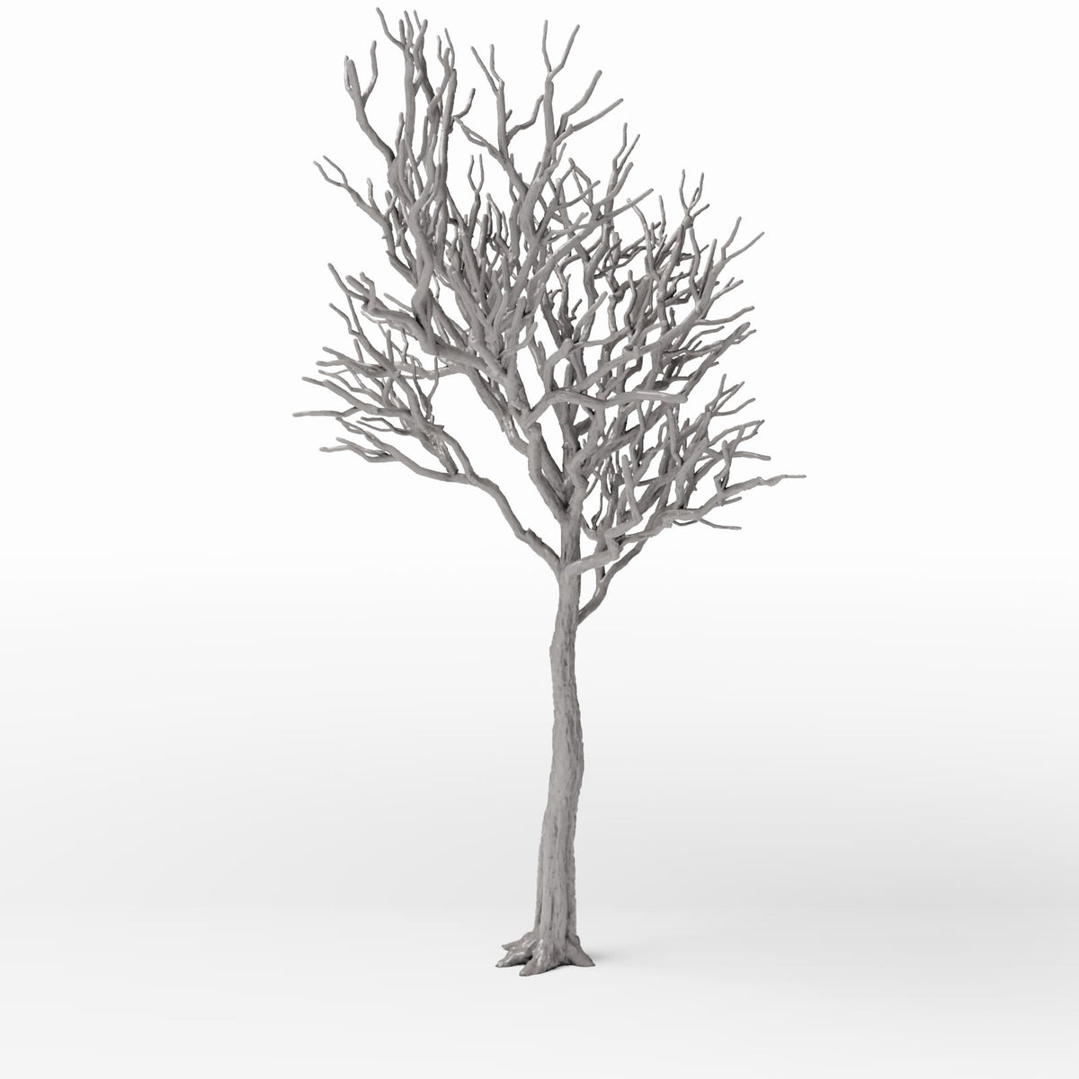 Productfoto diorama en modelbouw 2: Dioramaplanten: gedetailleerde kale loofboom (Ref. 1104D)