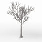 Productfoto diorama en modelbouw 3: Dioramaplanten: gedetailleerde kale loofboom (Ref. 1104D)