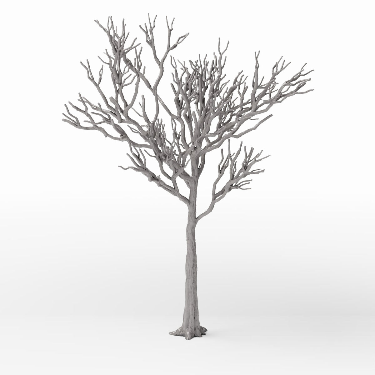 Productfoto diorama en modelbouw 3: Dioramaplanten: gedetailleerde kale loofboom (Ref. 1104D)