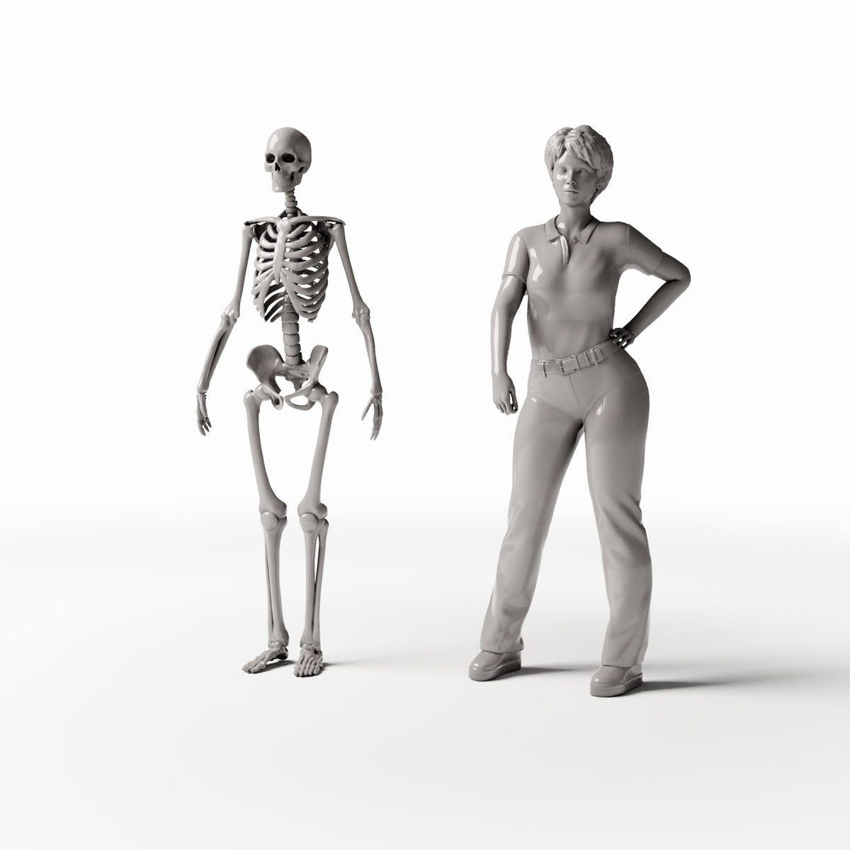 Productfoto diorama en modelbouw 1: Dioramaterrein: anatomisch menselijk skelet (Ref. 1455D)