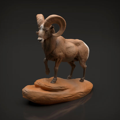 Productfoto Dier Figuur Diorama, Modelbouw: 0: Wilde Dier Figuur: Dikkopram Widder (Ref 01_01_89)