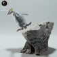 Productfoto Dier Figuur Diorama, Modelbouw: 0: Zeewezen Figuur: Rots-pinguïn – Rockhopper (Ref 01_01_63)