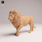 Productfoto Dierfiguur Diorama, Modelbouw: 0: Wilde Dierfiguur: majestueuze leeuw – Dieren van de savanne (Ref 25_08_07)