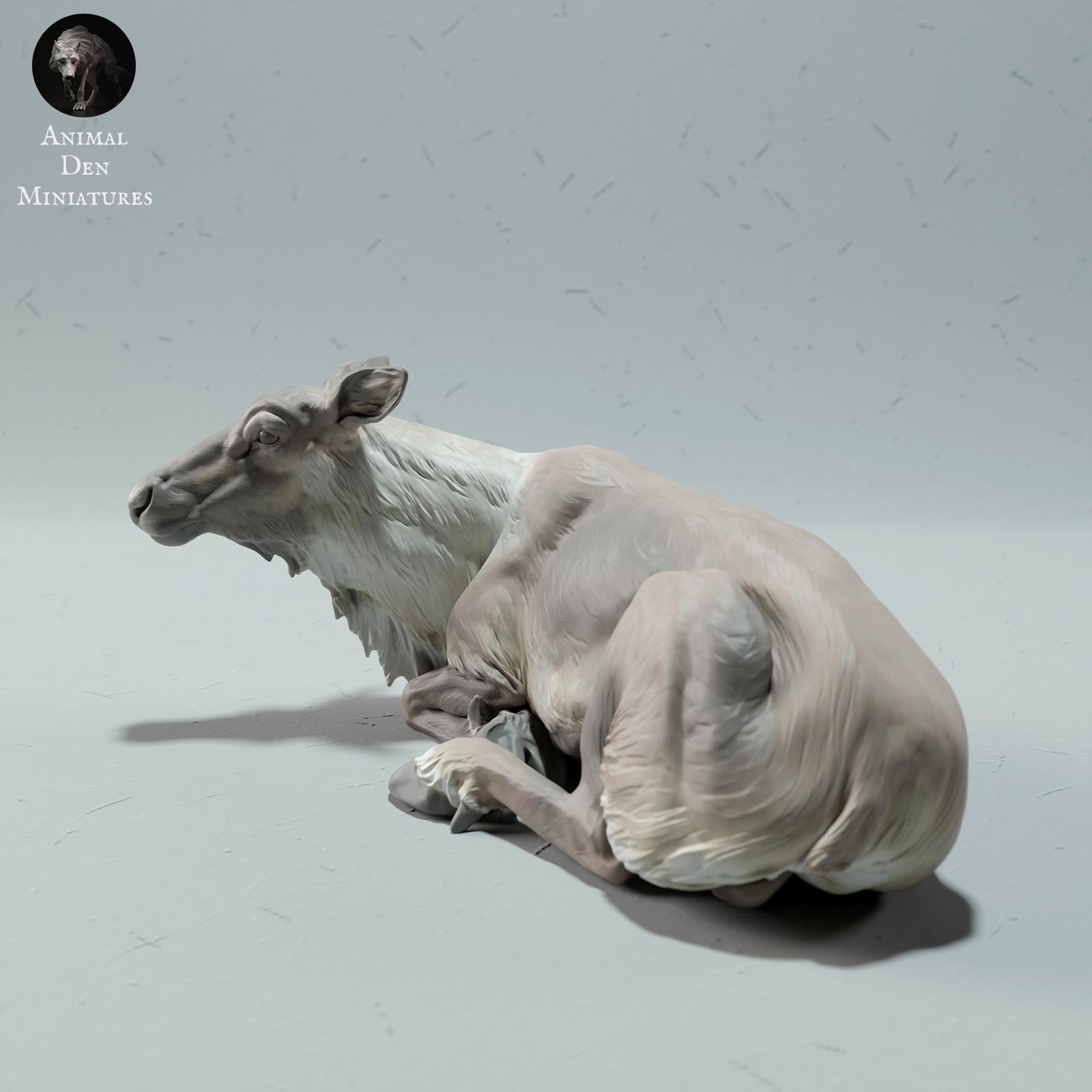 Productfoto Dierfiguur Diorama, Modelbouw: 0: Wilde Dierfiguur: Rendier / Cariboe Vrouw (Ref 01_01_67)