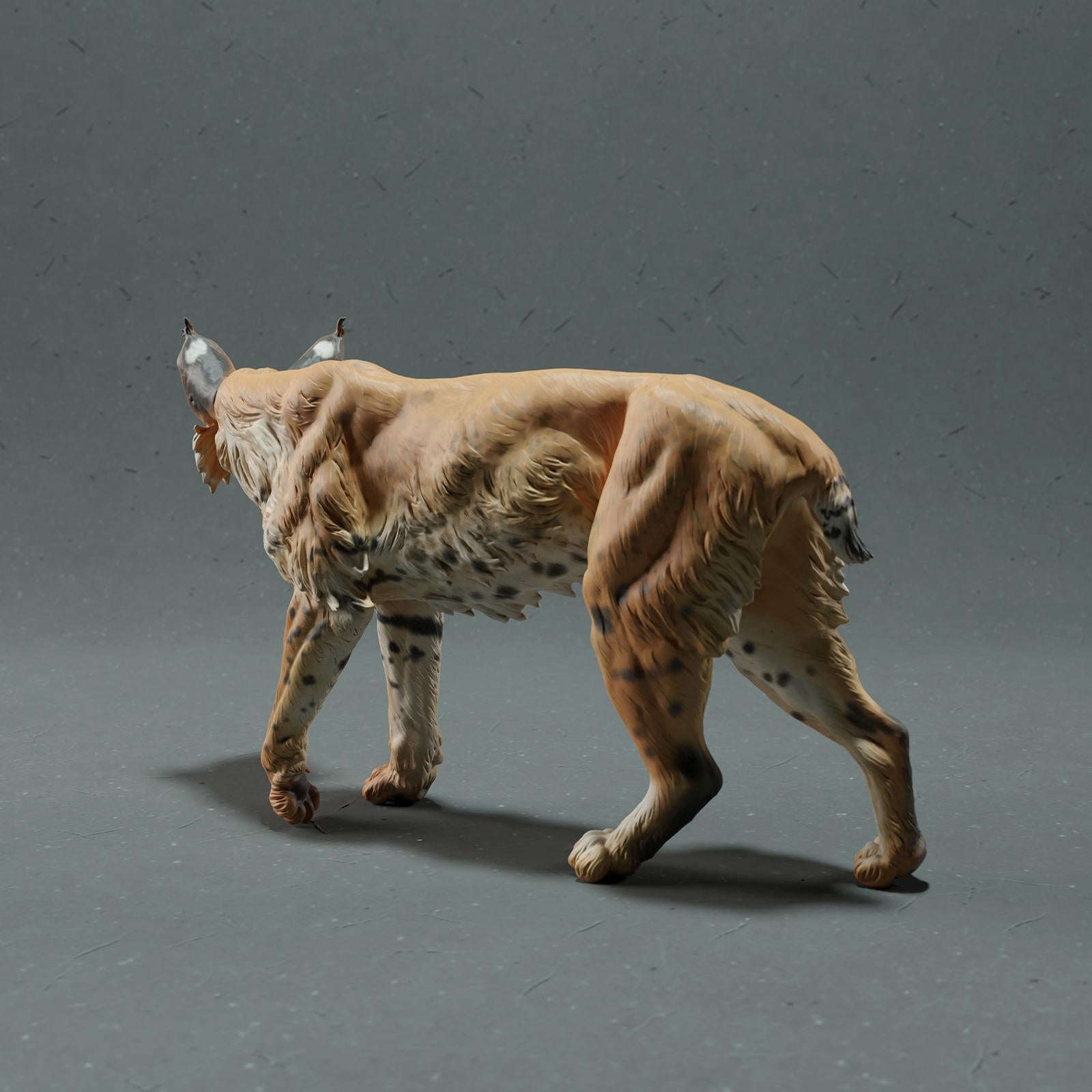 Productfoto Dierfiguur Diorama, Modelbouw: 0: Wilde Dierfiguur: Lynx – Bobcat (Ref 01_01_77)