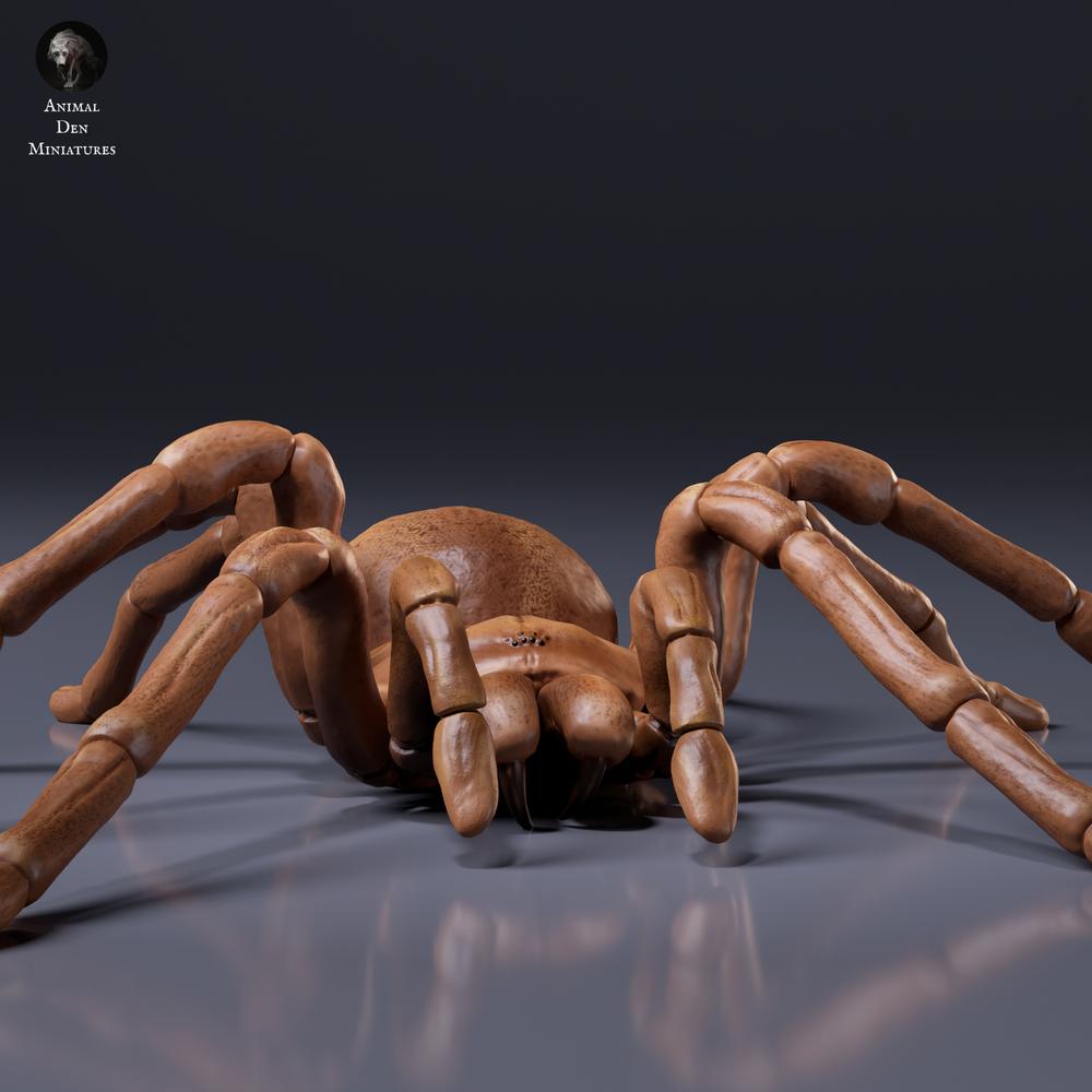 Productfoto dierenfiguur Animal Den Miniatures 6: spinachtige figuur: Goliathvogelspin (26_10_01)