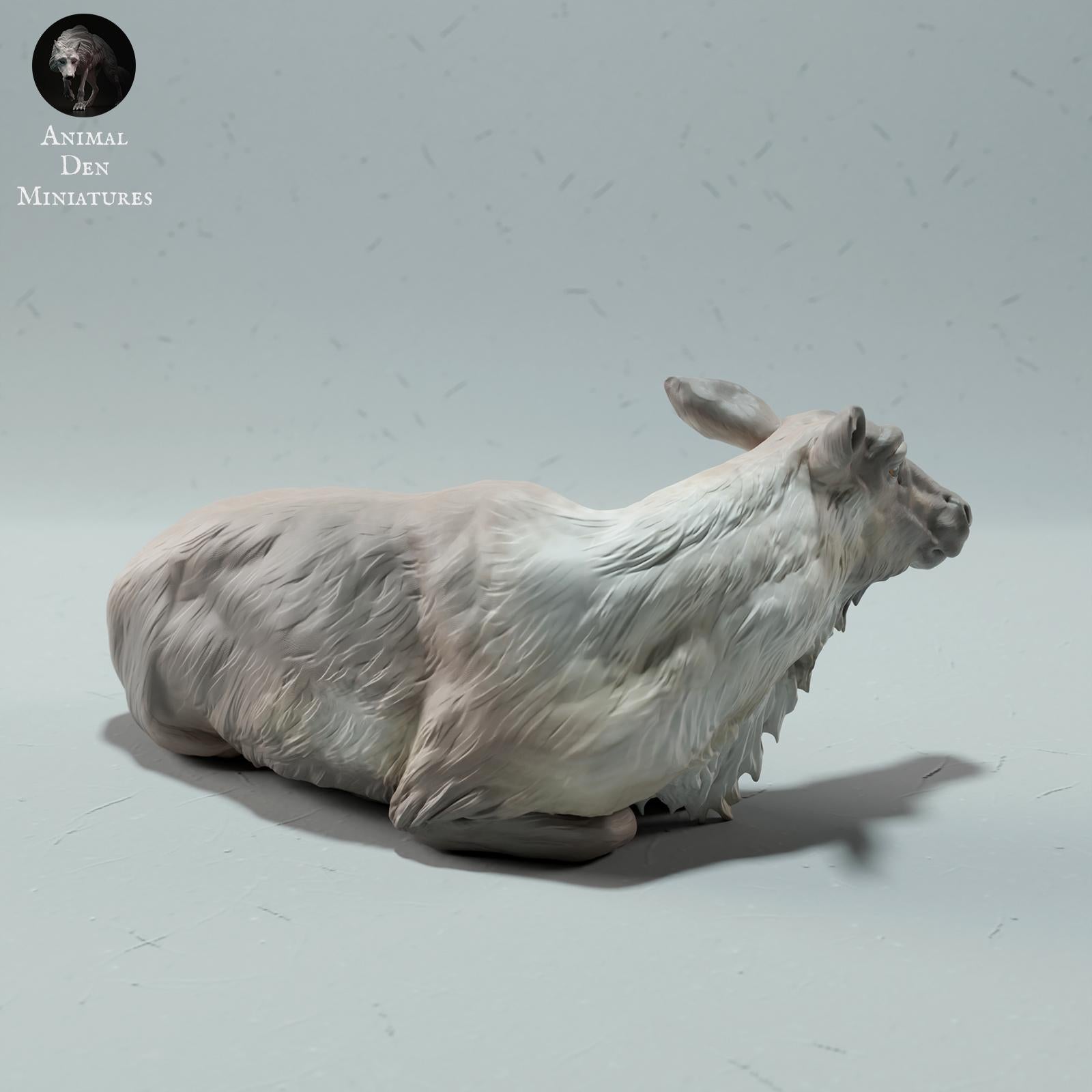 Productfoto Dierfiguur Diorama, Modelbouw: 0: Wilde Dierfiguur: Rendier / Cariboe Vrouw (Ref 01_01_67)