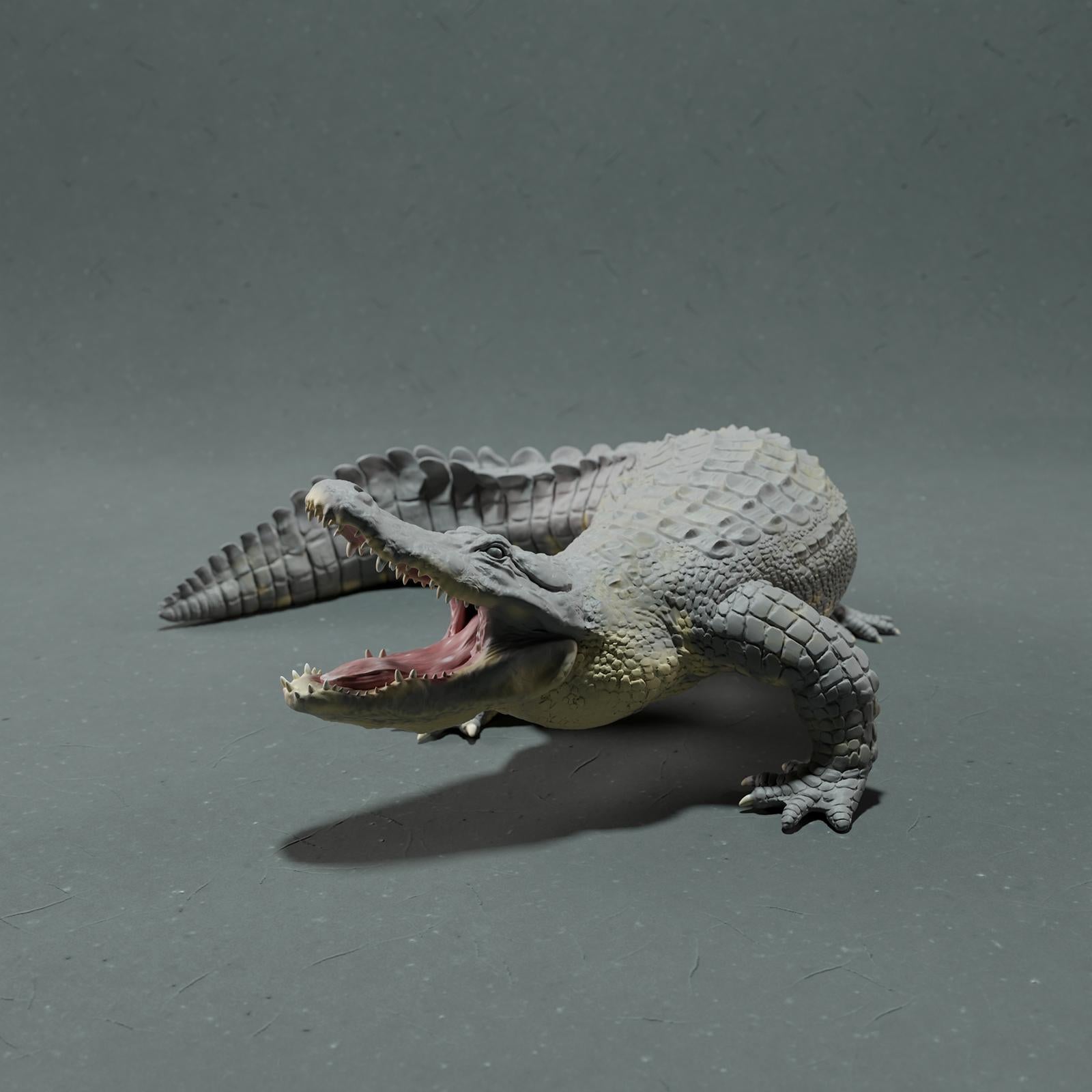 Productfoto Dierfiguur Diorama, Modelbouw: 0: Wilde Dierfiguur: Amerikaanse Alligator – Aanvalshouding (Ref 01_01_78)
