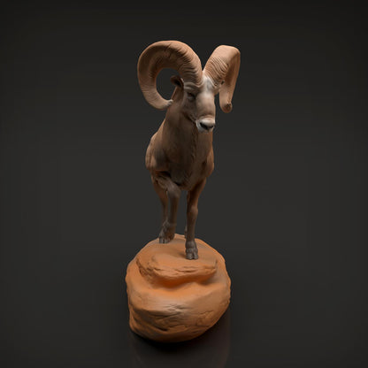 Productfoto Dier Figuur Diorama, Modelbouw: 0: Wilde Dier Figuur: Dikkopram Widder (Ref 01_01_89)