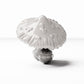 Diorama-modelbouw productfoto 2: dioramaplanten: gevlekte paddenstoelen (Ref. 447D)