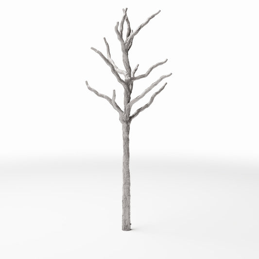 Diorama-modelbouw productfoto 0: Dioramaplanten: Kale boomstam met takken (Ref. 579D)