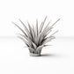Diorama Modellbau Produktfoto 0: Diorama Pflanzen: Rosettenpflanze im Blumentopf (Ref. 582D)