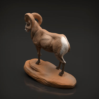 Productfoto Dier Figuur Diorama, Modelbouw: 0: Wilde Dier Figuur: Dikkopram Widder (Ref 01_01_89)