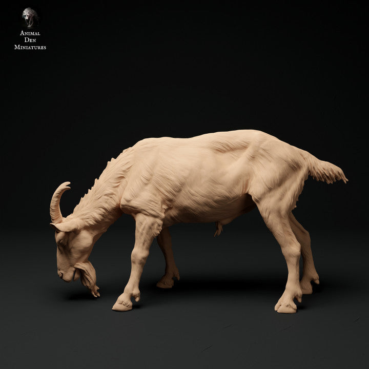 Productfoto Dier Figuur Diorama, Modelbouw: 0: Alpen Geitbok: grazend