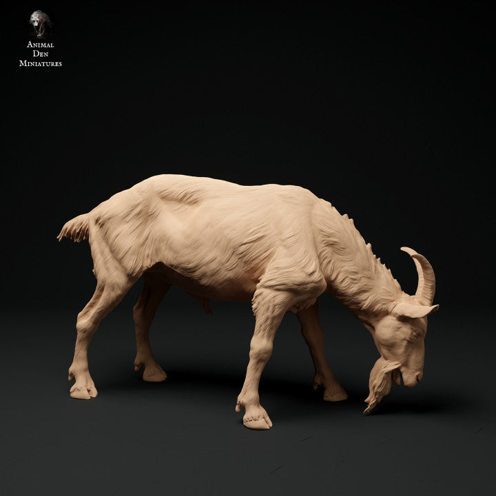 Productfoto Dier Figuur Diorama, Modelbouw: 0: Alpen Geitbok: grazend