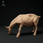 Productfoto Dier Figuur Diorama, Modelbouw: 0: Alpen Geit: grazend