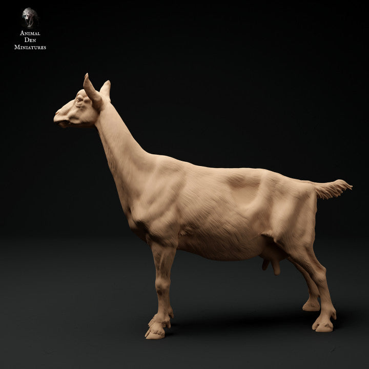Productfoto Dier Figuur Diorama, Modelbouw: 0: Alpen Geit