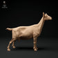 Productfoto Dier Figuur Diorama, Modelbouw: 0: Alpen Geit