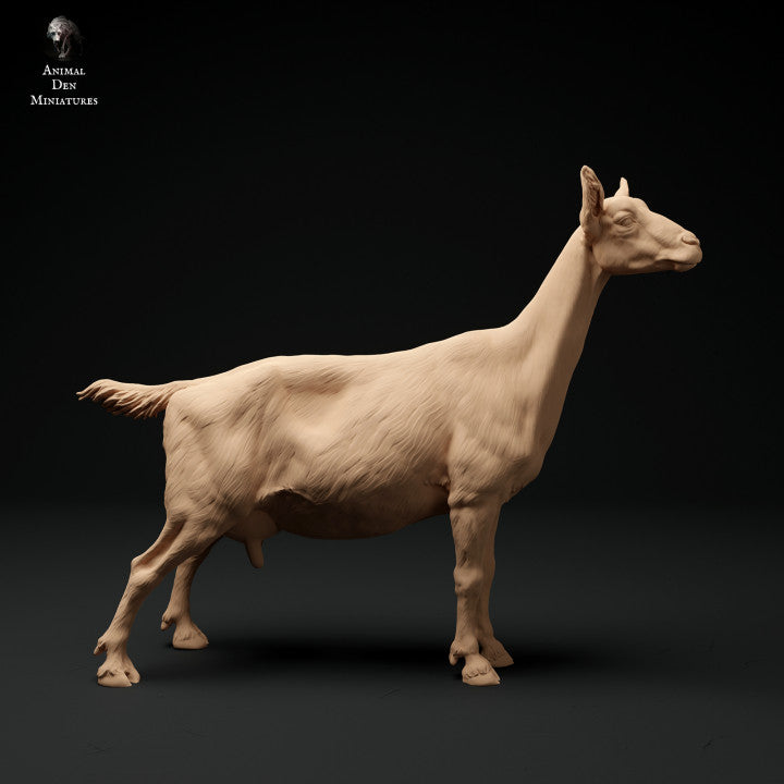 Productfoto Dier Figuur Diorama, Modelbouw: 0: Alpen Geit