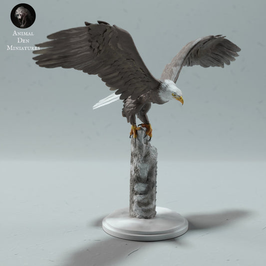 Productfoto dierenfiguur Animal Den Miniatures 0: Wildvogel dierenfiguur: Amerikaanse zeearend (23_01_13)
