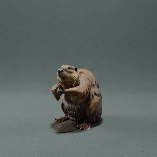 Productfoto dierenfiguur Animal Den Miniatures 0: wild dierfiguur: Canadese bever (22_10_07)